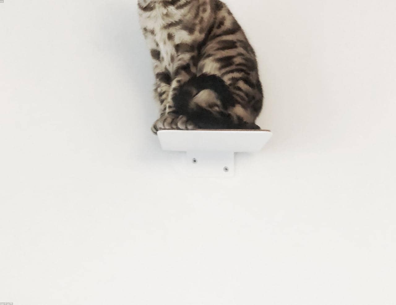 Test_PCUpEqWCeG